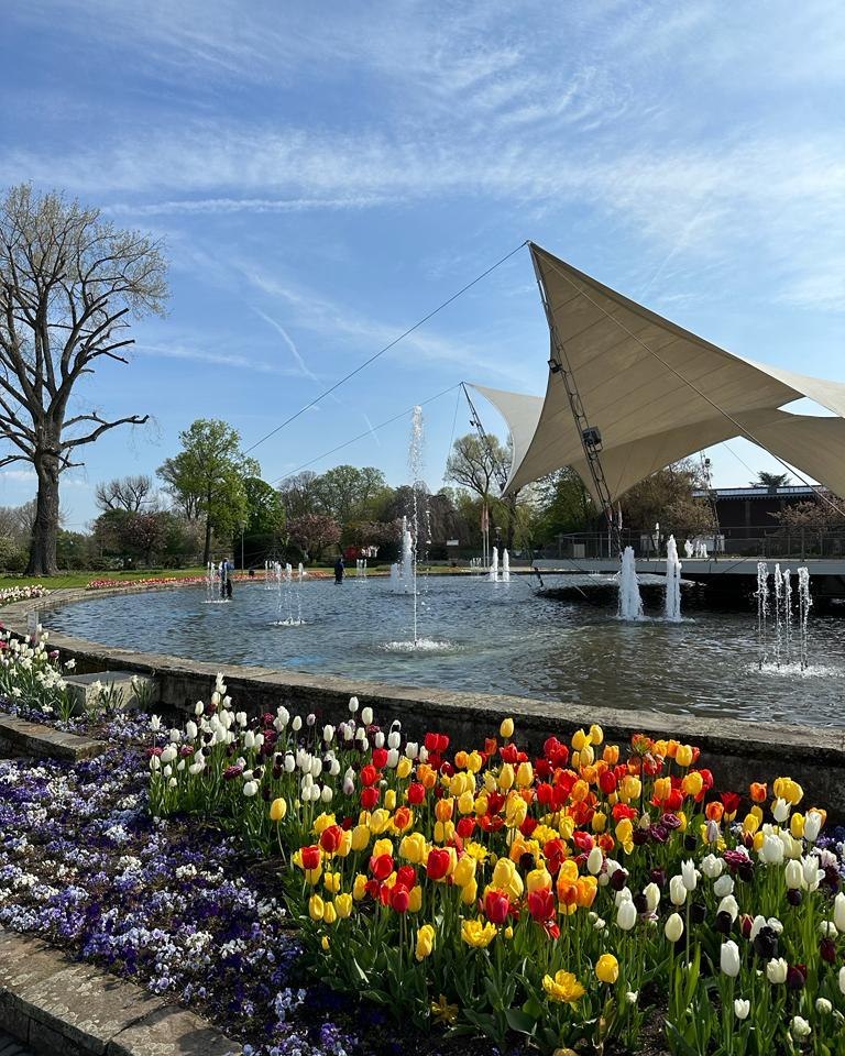 Tanzbrunnen | Top Tipps für Pfingsten in Köln | Mr. Köln | Foto: Tanzbrunnen Tanzbrunnen | Top Tipps für Pfingsten in Köln | Mr. Köln | Foto: Tanzbrunnen